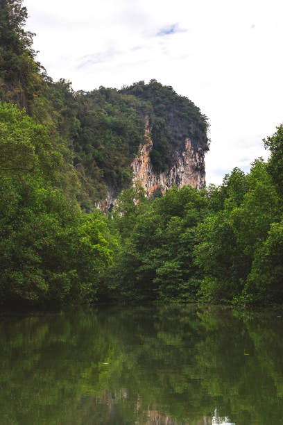 istock Limestone rocks surrounded by the emerald lagoon 642317288
