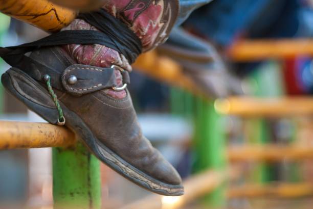 istock Guatemalan Bull Rider on Fence 642348418