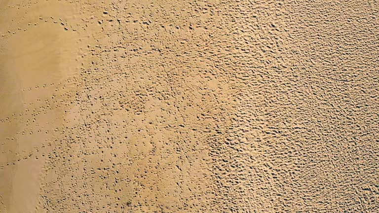 Aerial View Sandy Beach with Many Footprints