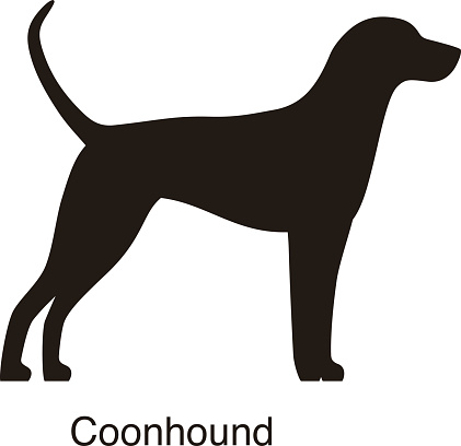 Coonhound dog silhouette, side view, vector