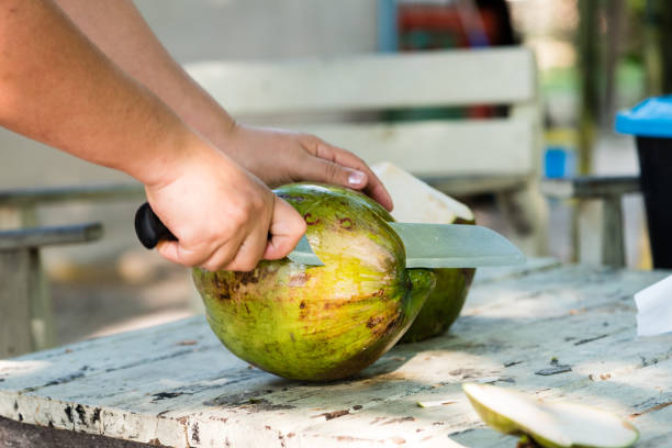 istock Closeup of coconut being cut 642376026