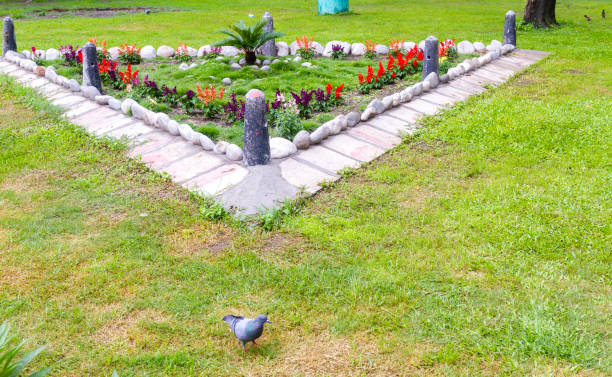 Fresh beautiful flower with green leaves from the Botanical Garden,Nepal.