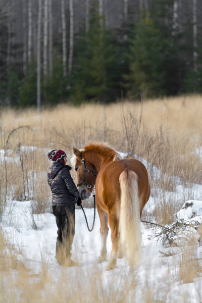 istock Woman horseback riding 642398002