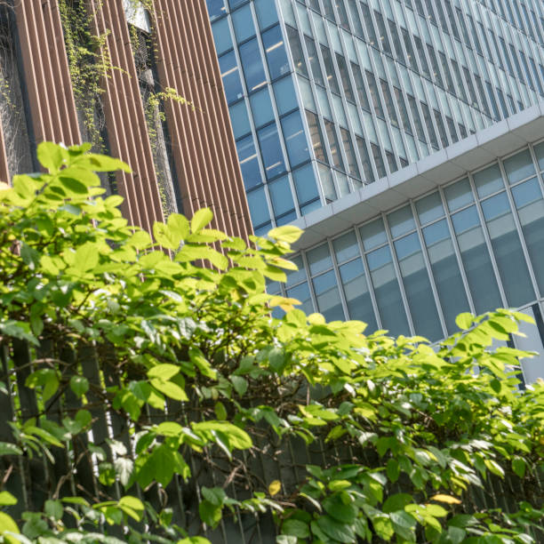 istock modern office building with green fresh leaves 642398060