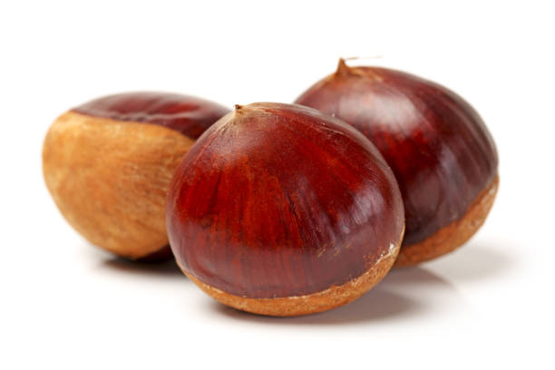 istock Close-up of three chestnuts on a white surface 642407418