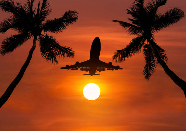 istock silhouette airplane flying in sunset with palm trees 642414110