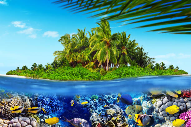 istock Tropical island in Ocean and beautiful underwater world. 642434702