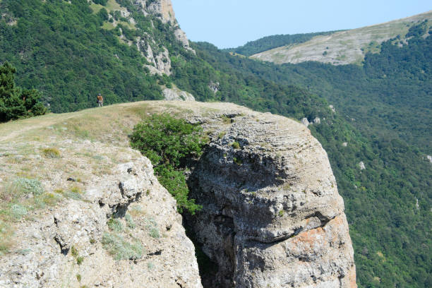 istock An amazing natural looking green mountain forest. 642435876