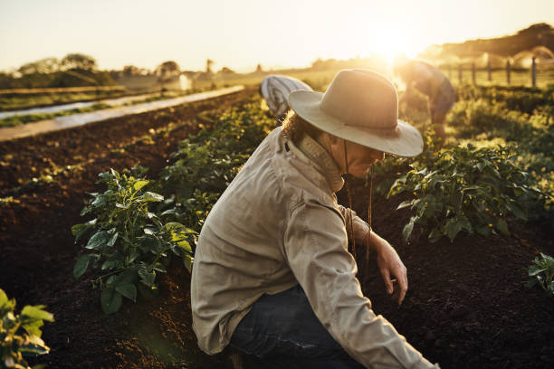 istock If you ate today, thank a farmer 642438556