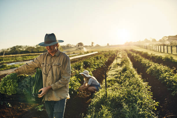 istock Anything fresher is still growing 642438600