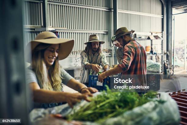 Theyve Had A Great Harvest So Far Stock Photo - Download Image Now - Australia, Agriculture, Farmer