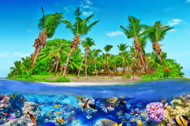 istock Tropical island in Ocean and beautiful underwater world. 642442214