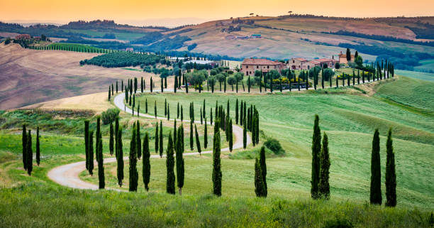 istock Crete Senesi, Asciano, Tuscany, Italy 642442234