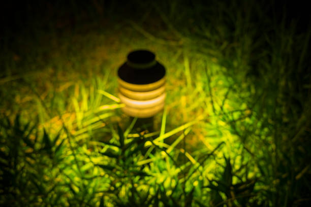 Small Garden Lamp on surrounded grass field