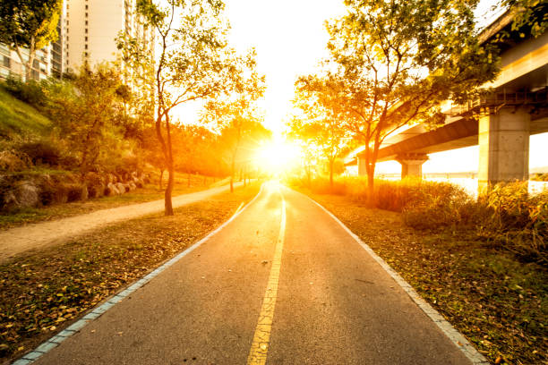 istock empty road through park near river with sunbeam 642453638