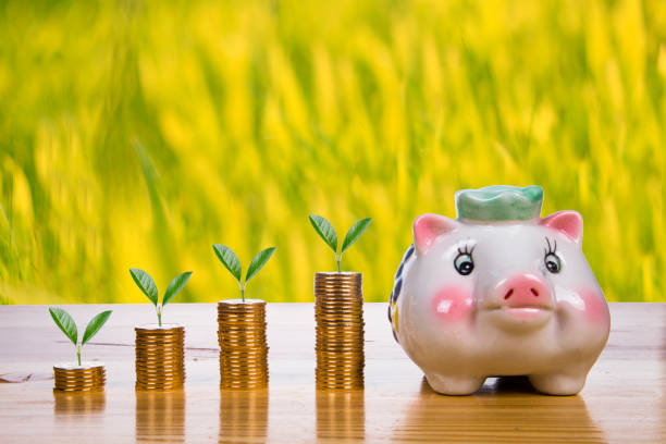 istock Plant Growing In Savings Coins 642454028