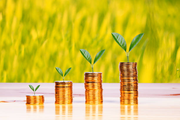istock Plant Growing In Savings Coins 642454182