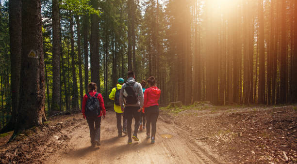 istock friends in the forest enjoying the spring walk 642456900