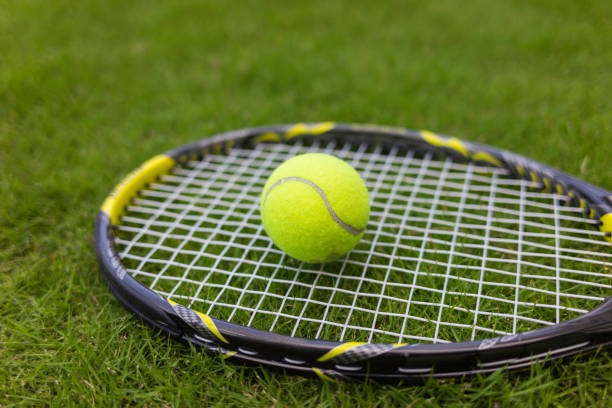 istock Tennis ball and racket on green grass background 642457584