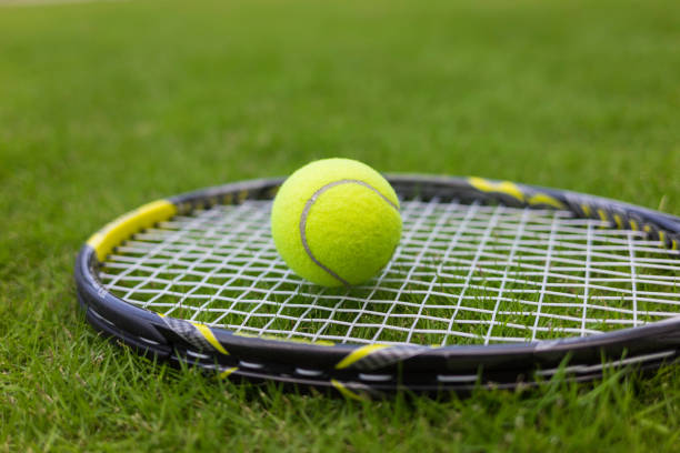 istock Tennis ball and racket on green grass background 642457680