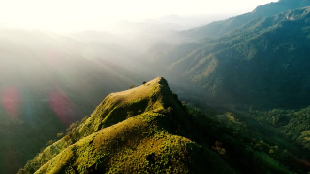 スリランカの山岳地帯における緑茶プランテーションの空中写真