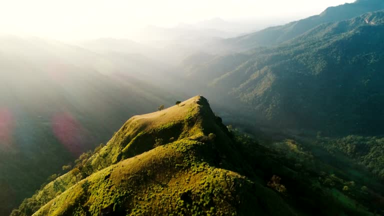 Aerial view on green tea plantation in mountains in Sri Lanka