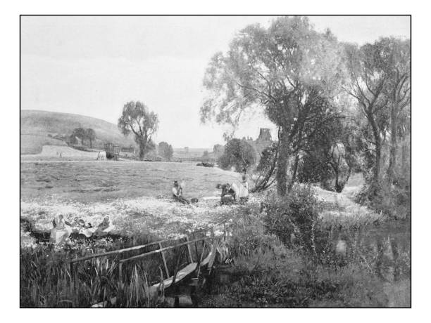 istock Antique photo of paintings: Landscape 642466736