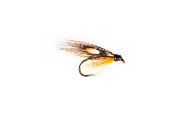 istock Cut Out of an Artificial Fishing Fly 642469772