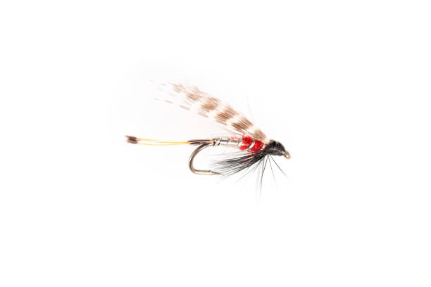 istock Cut Out of Insect-Looking Trout Fly 642469842