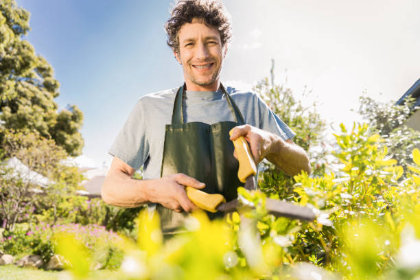 istock Smiling mature man pruning plants in garden 642479750