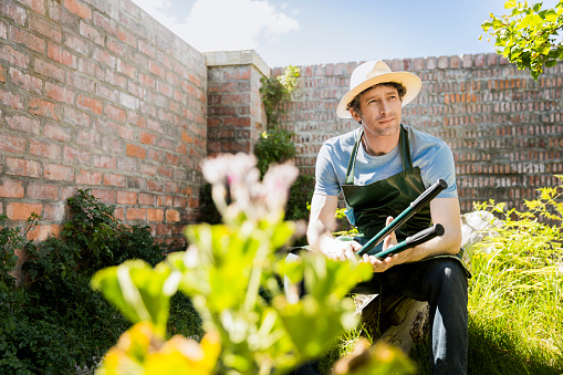 Thoughtful mature man holding pruning shears. Male is wearing apron and sunhat while sitting against brick wall. He is in garden on sunny day.
