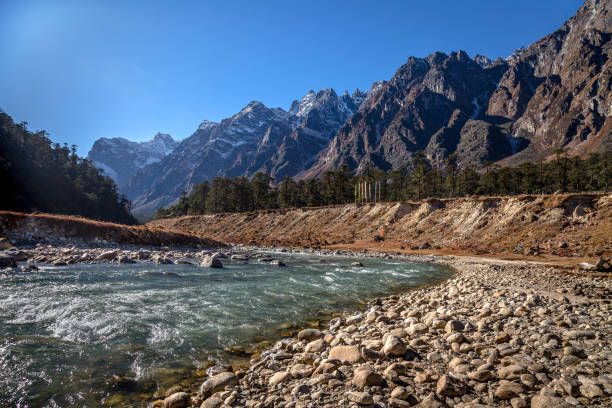 teesta rivière qui coule à travers la vallée de yumthang au sikkim, inde. - sikkim photos et images de collection