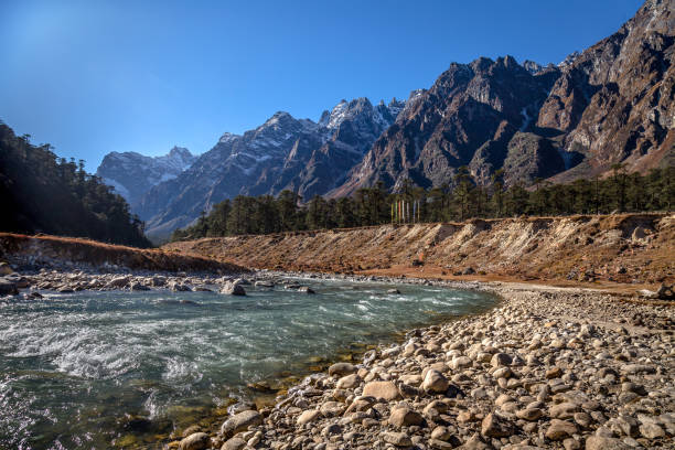 시킴, 인도에서 yumthang 골짜기를 흐르는 teesta 강. - sikkim 뉴스 사진 이미지