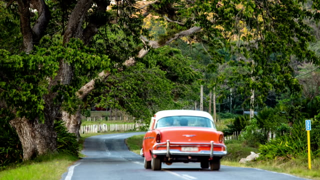 Cuba: Travel : Vintage car on country road