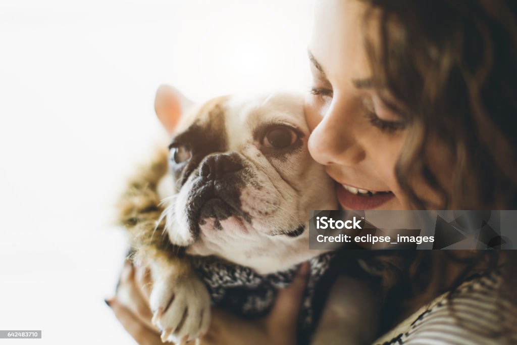 Portrait of confident woman carrying french bulldog Adult Stock Photo