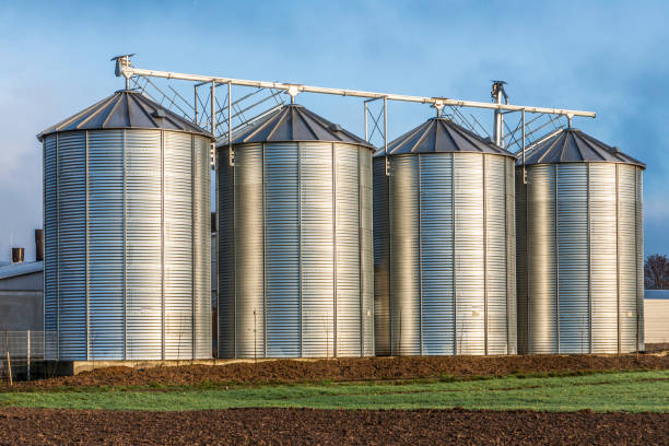 istock Silo in beautiful landscape 642512694