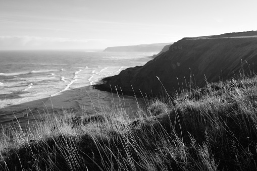 Focus on foreground. Black and white image taken high on North Yorkshire cliffs.