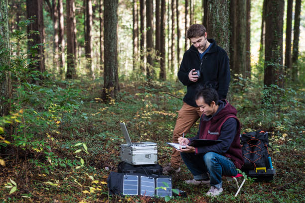 istock Two researchers work in the forest with solar powered field laboratory 642515510