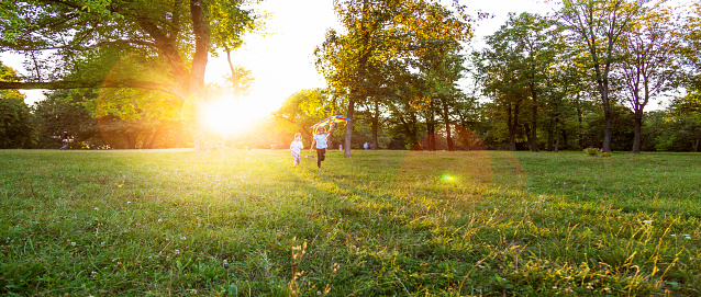 Children in nature with kite