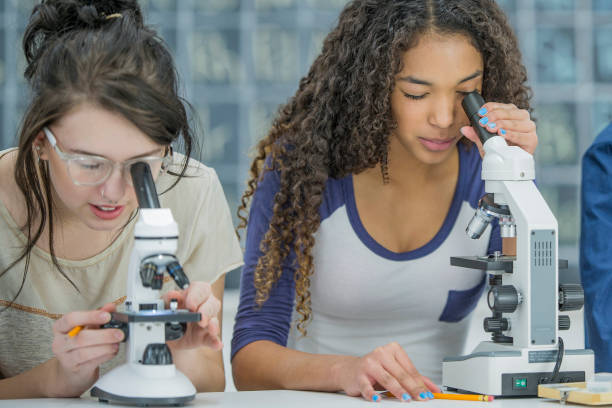 Viewing Slides Through a Microscope A multi-ethnic group of high school students are working in a science class together. They are looking at slides in biology class through a microscope. secondary school activities stock pictures, royalty-free photos & images