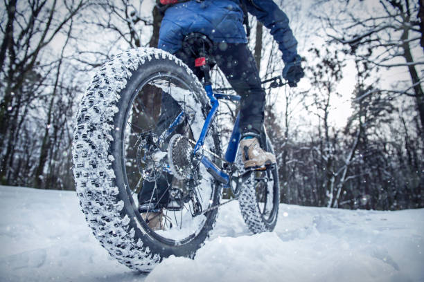 istock Man rides fat bike in the forest 642529042