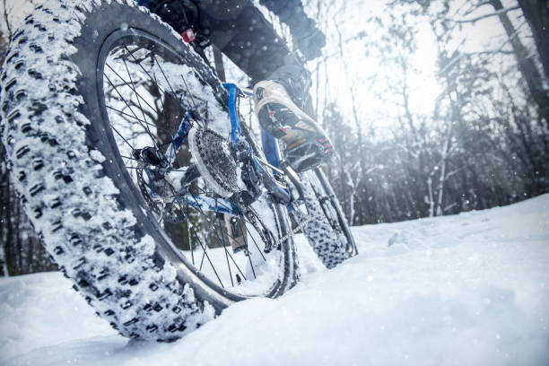 istock Man rides fat bike in the forest 642529050