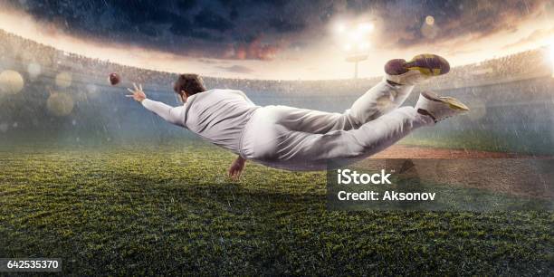 Cricket The Game Moment Stock Photo - Download Image Now - Sport of Cricket, Stadium, Sports Ball