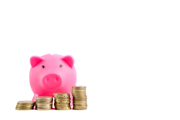 istock Piggy Bank with Coins 642535404