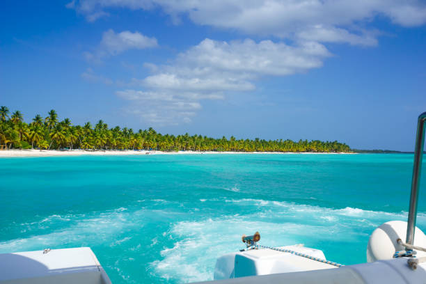 istock Palms coastline on caribbean beach, Island Saona 642546848
