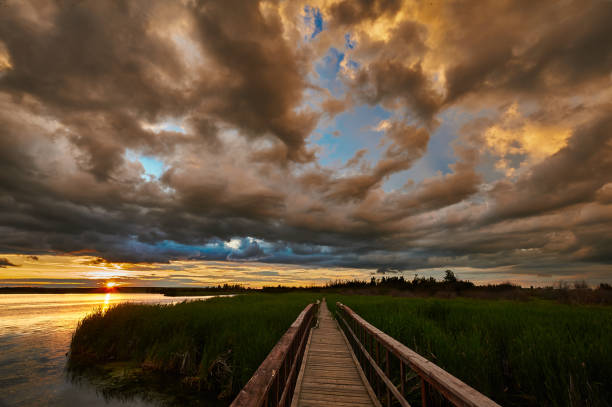 istock Sunset over a marsh and  wooden walkway 642551070
