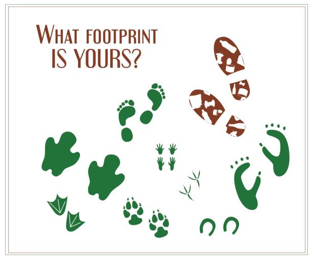 istock Human footprint with trash and animal footprints. Ecology poster 642551252