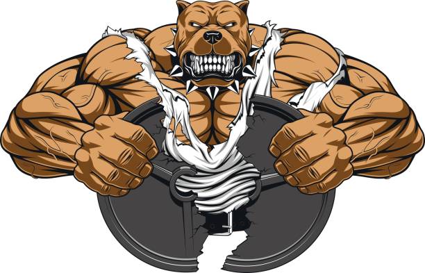 Angry Dog Bodybuilder Stock Illustration - Download Image Now - Body  Building, Pit Bull Terrier, Animal - iStock