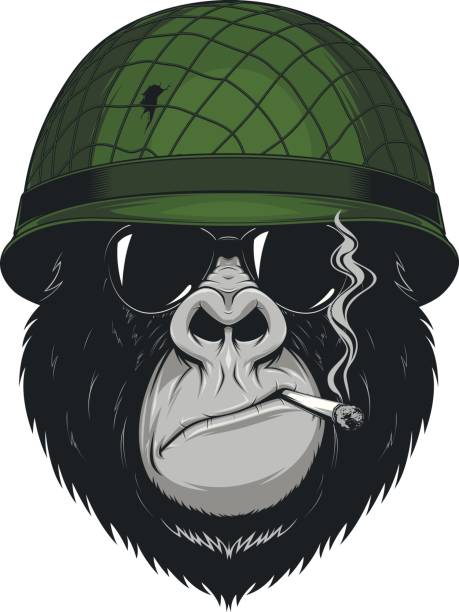 Monkey soldier with a cigarette Vector illustration gorilla soldier wears a helmet and smoking a cigarette smokers wrinkles stock illustrations