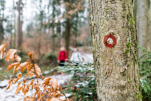The red mark on a tree indicating the right path through the woods. Behind two women walking through the Woods in a cold and foggy day.